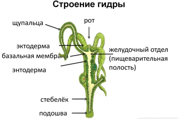 Рабочая ссылка блэкспрут тор