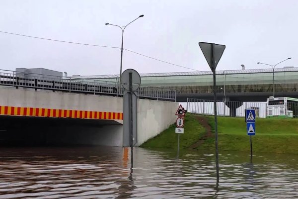 Блэк спрут приложение