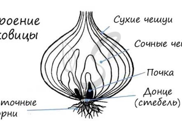 Вывод средств с блэк спрут