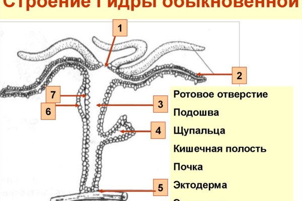 Блэк спрут что за сайт