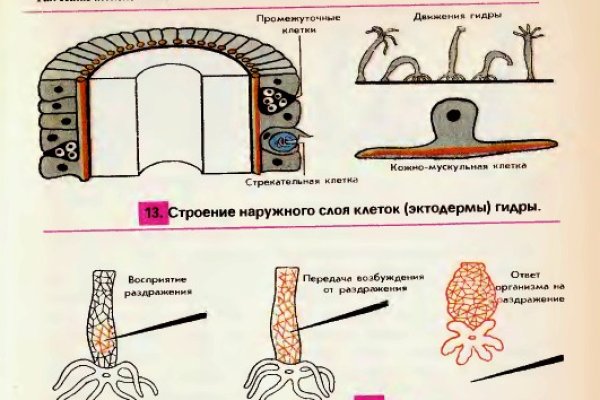 Bs зеркало